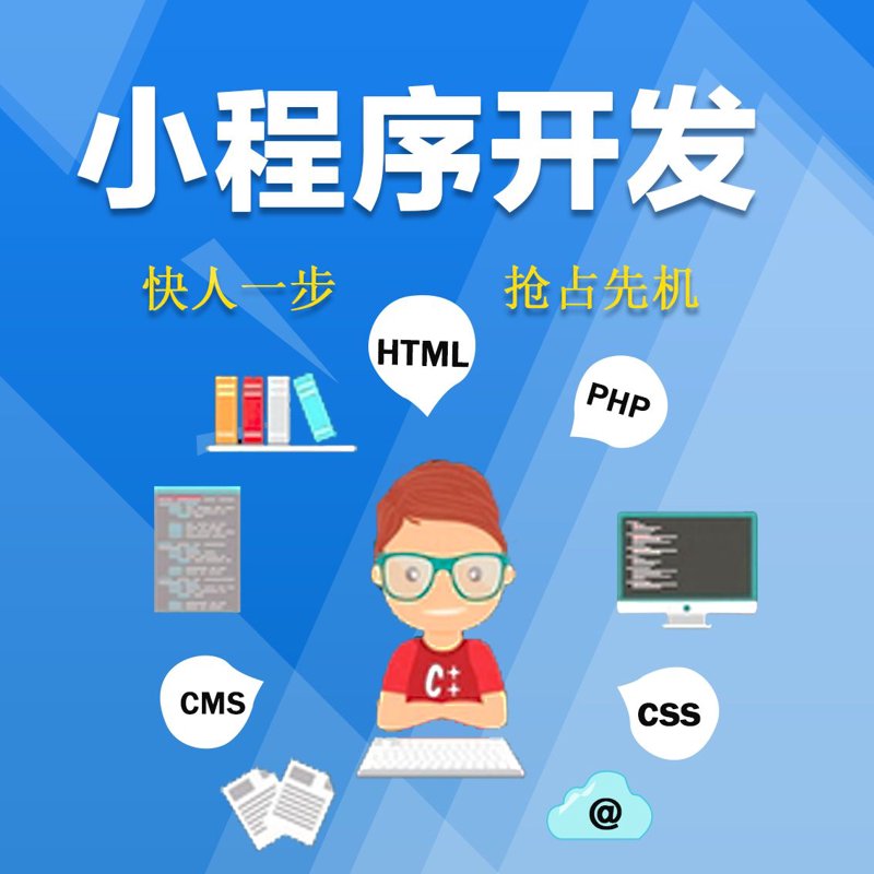 软件定制开发:企业成长的新引擎